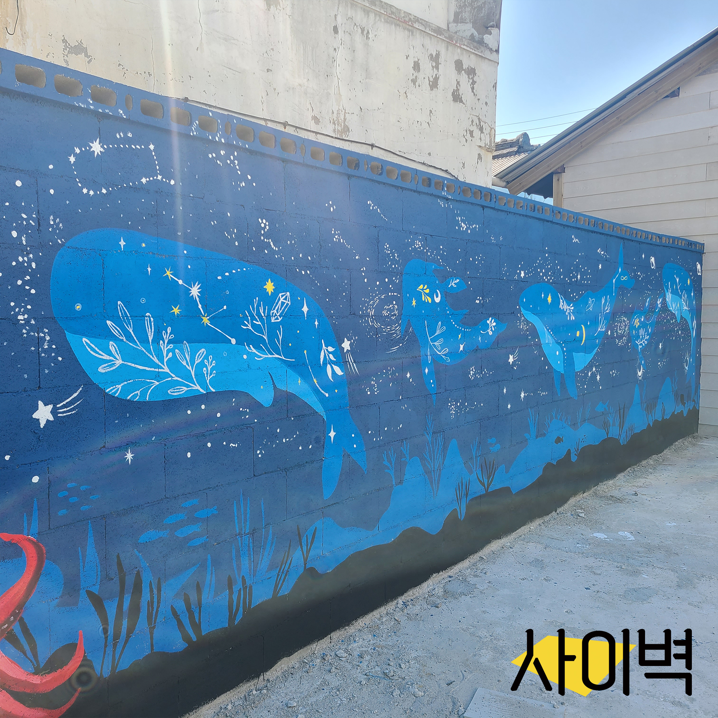 강릉 횟집 벽화 벽화 시공 사진 11