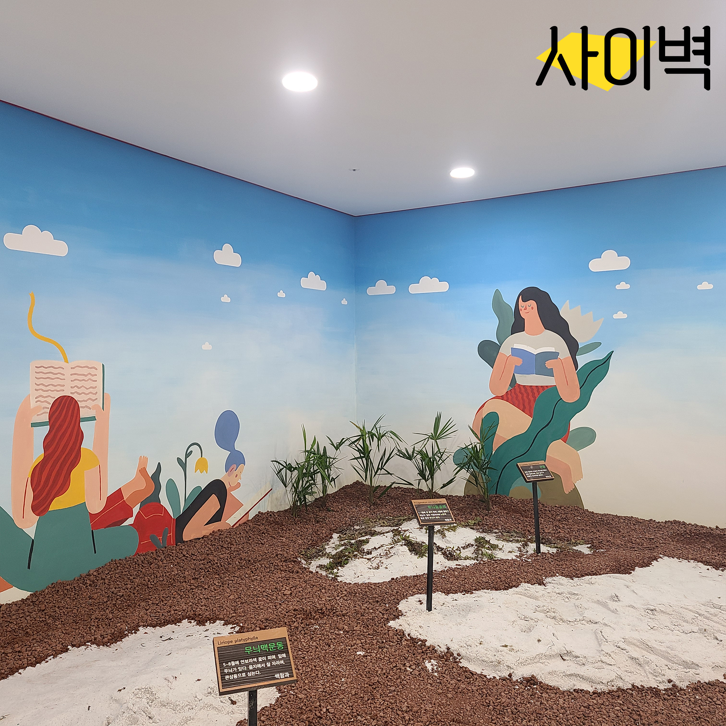 용인 남사고등학교 벽화 벽화 시공 사진 8