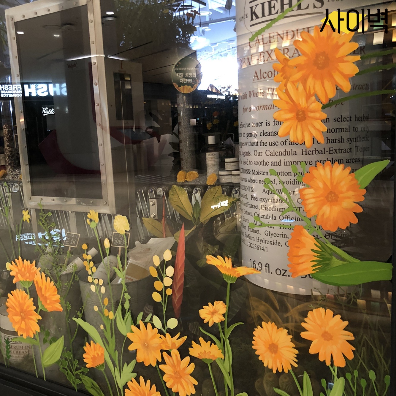 코엑스 키엘 칼렌듈라 벽화 벽화 시공 사진 1