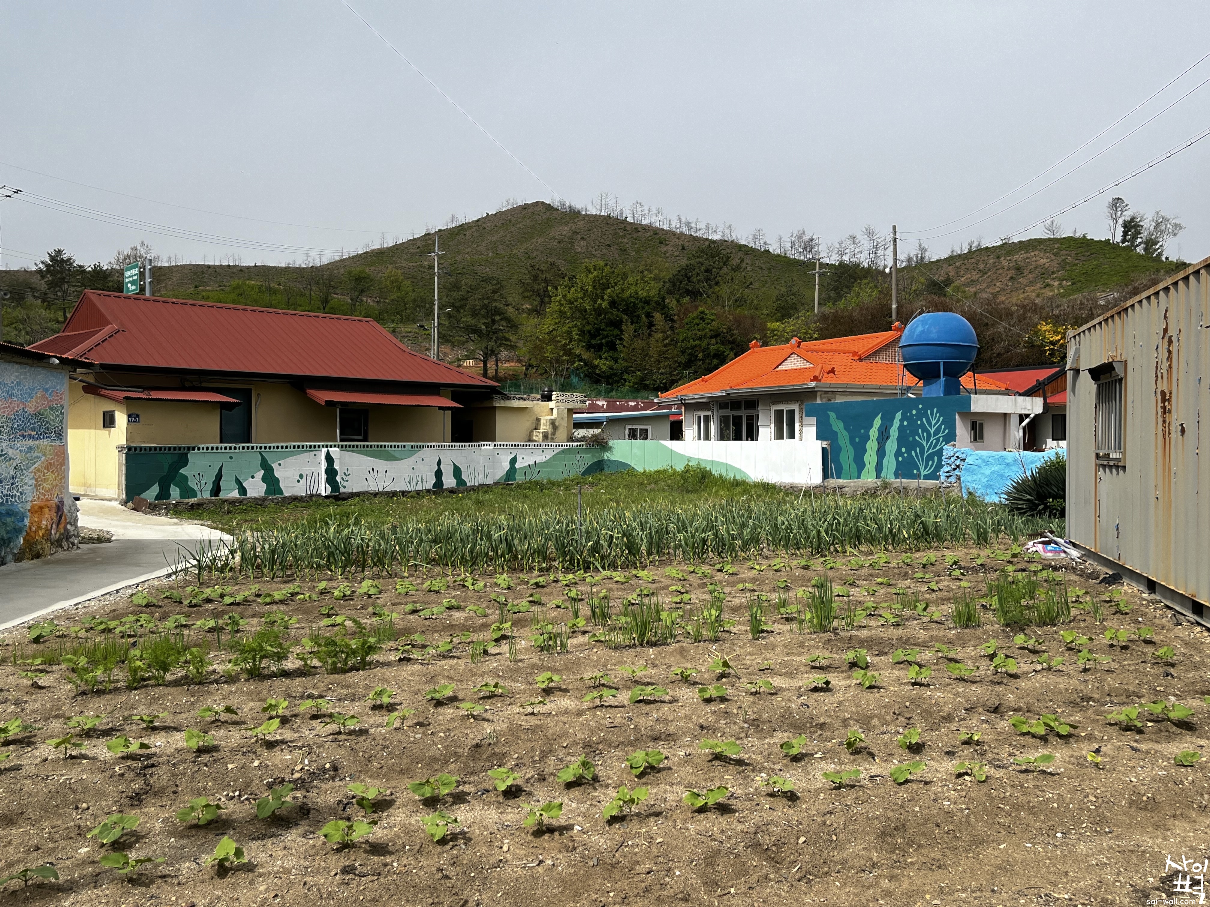 울진 나곡3리 나실마을 벽화조성사업 벽화 시공 사진 19